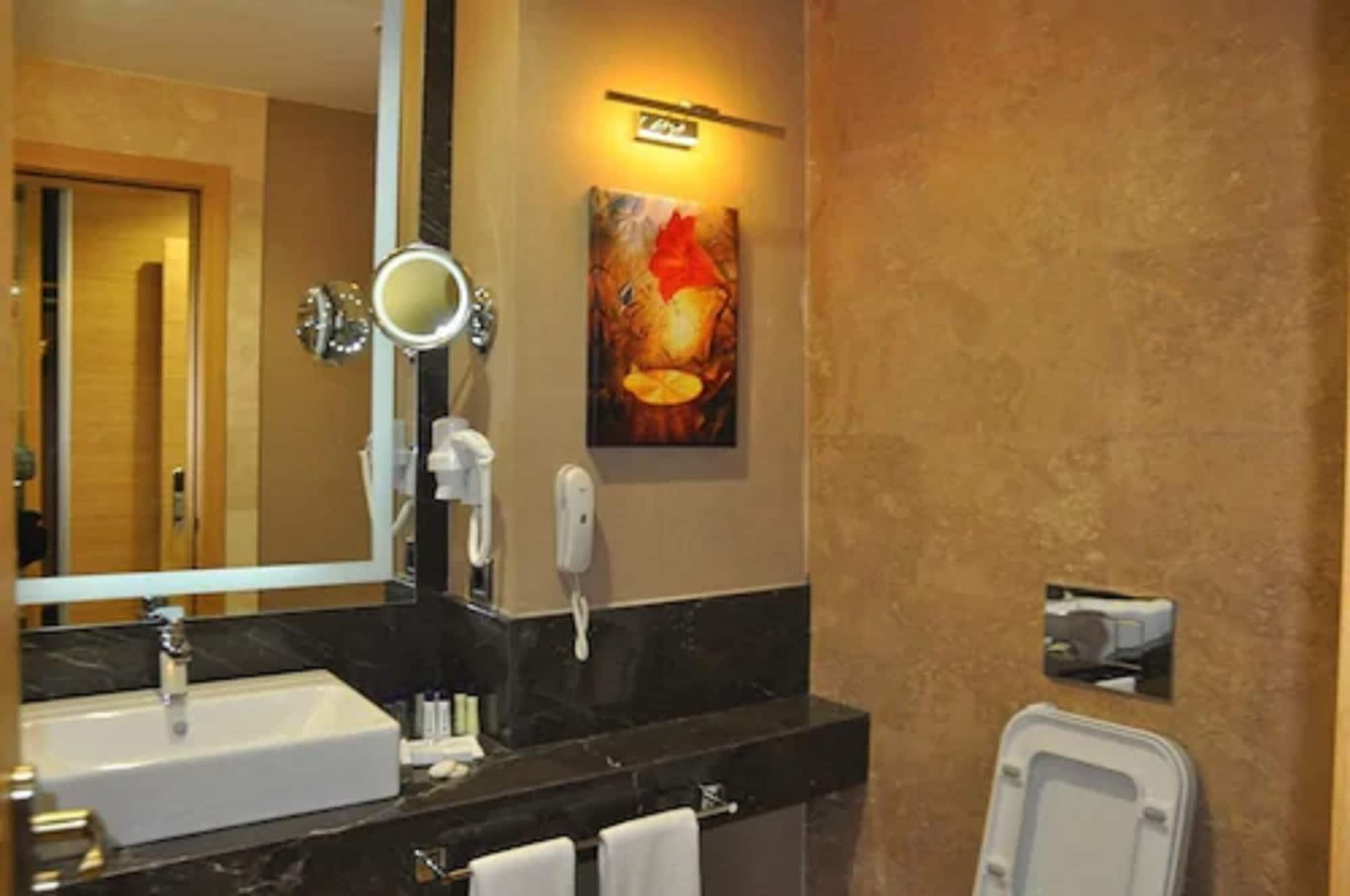 摩尔基酒店 埃迪尔内 外观 照片 Bathroom